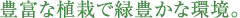 豊富な植栽で緑豊かな環境。
