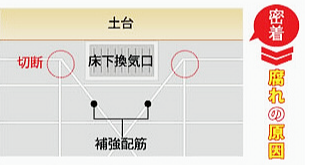 腐れの原因